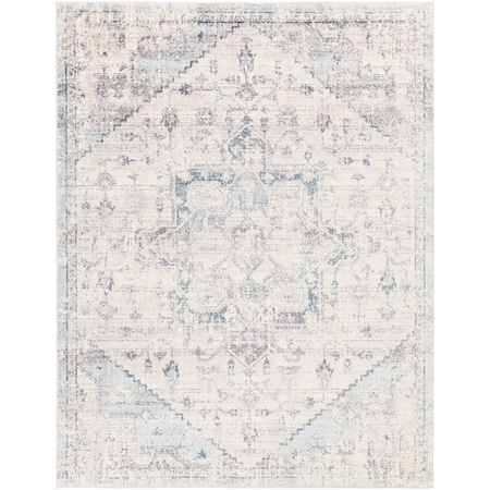 Ankara AKR-2310 Machine Crafted Area Rug